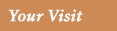 Your Visit